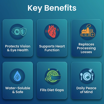 Prevent the Hidden Deficiency Before It Shows Verko™ Supplement